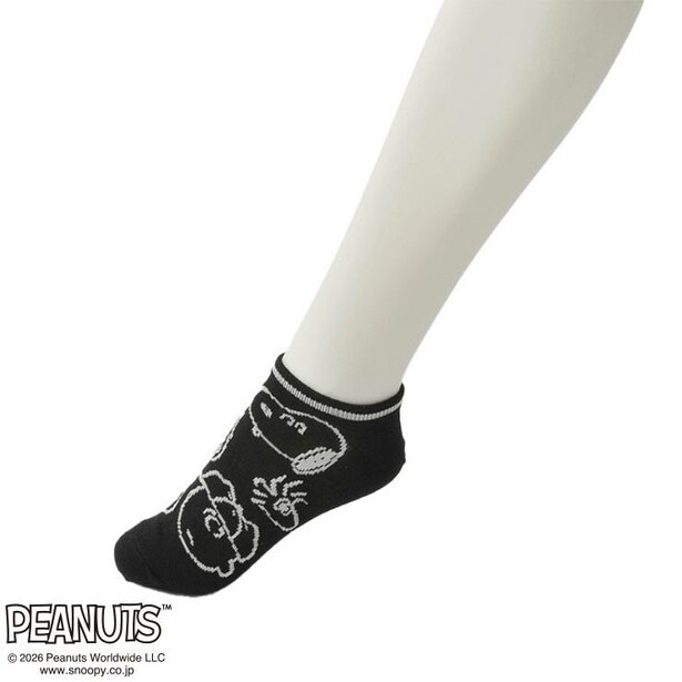 「レディースソックス スニーカーイン丈(ブラック)」(429円)