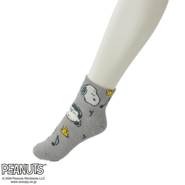 「レディースソックス ショート丈(グレー)」(429円)