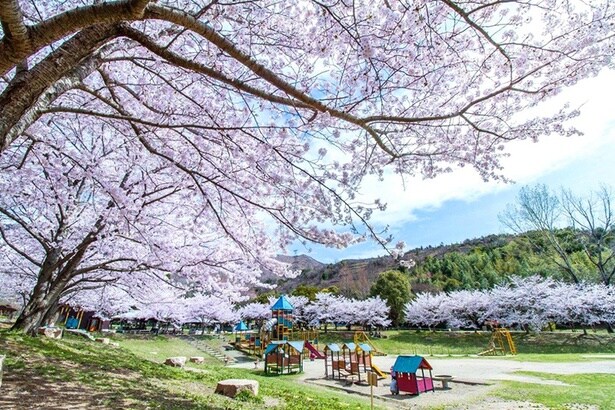 ファミリーに人気の「市ノ池公園」エリア(「鹿島・扇平自然公園」)