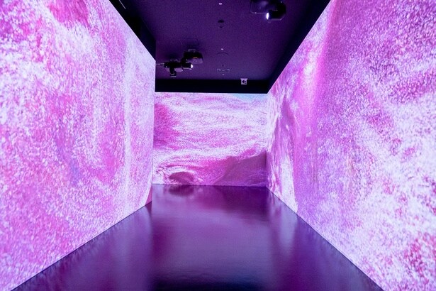 ゾーン1の「うつろう四季の彩り」では、桜の花びらが舞い散る幻想的な世界に包まれる