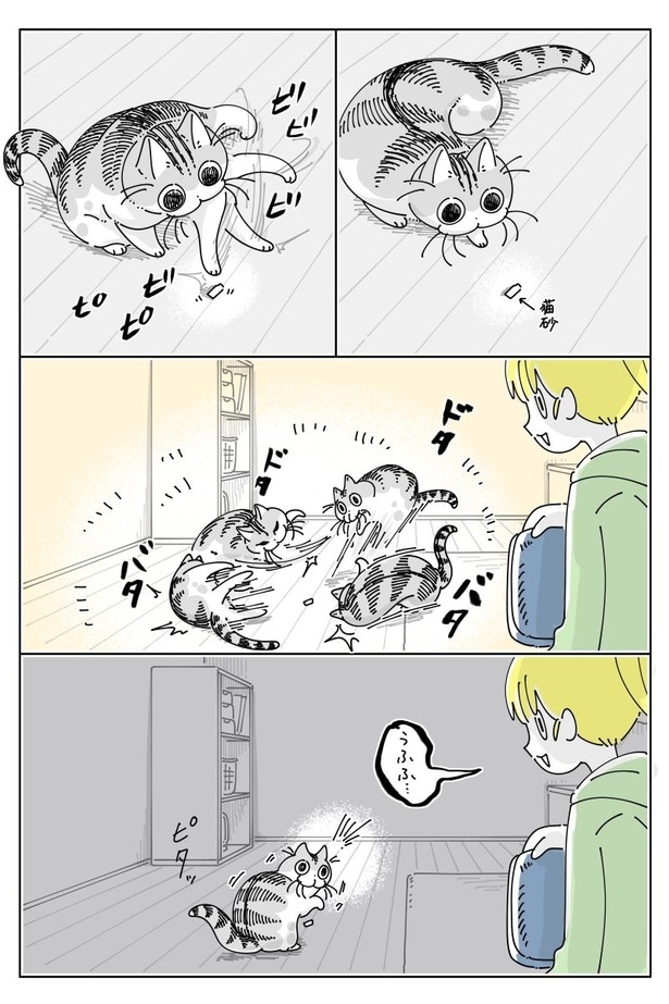 『見てないよ〜』01