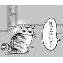 【ネコ漫画】飼い主の視線を察して遊びを止める愛猫!?その姿に「だるまさんが転んだみたいw」などの共感コメントが続出