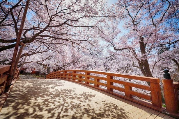 桜雲橋