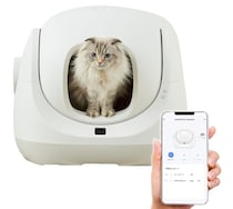 トイレから健康チェック！スマホ連携で愛猫の体調を見守る！【オーエフティー】最新スマート猫トイレがAmazonで販売中！