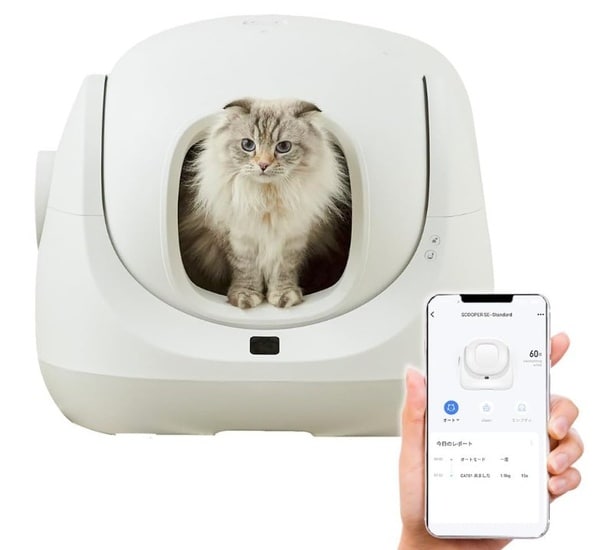 トイレから健康チェック!スマホ連携で愛猫の体調を見守る!【オーエフティー】最新スマート猫トイレがAmazonで販売中!