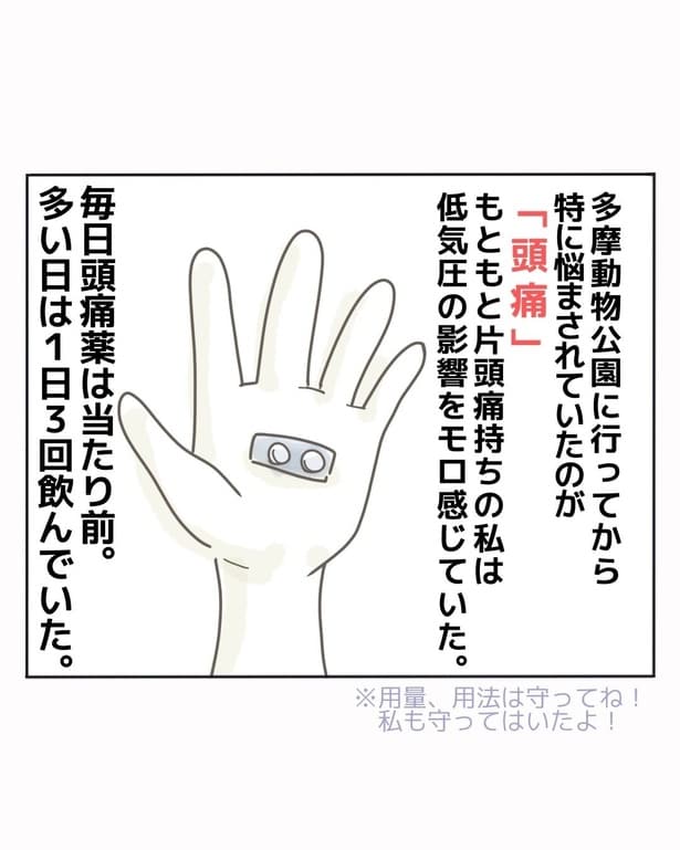 動物園に行ってから頭痛に悩まされていた著者だが…!?『○○病で休職しました~元気すぎは病気のせい?』3-3