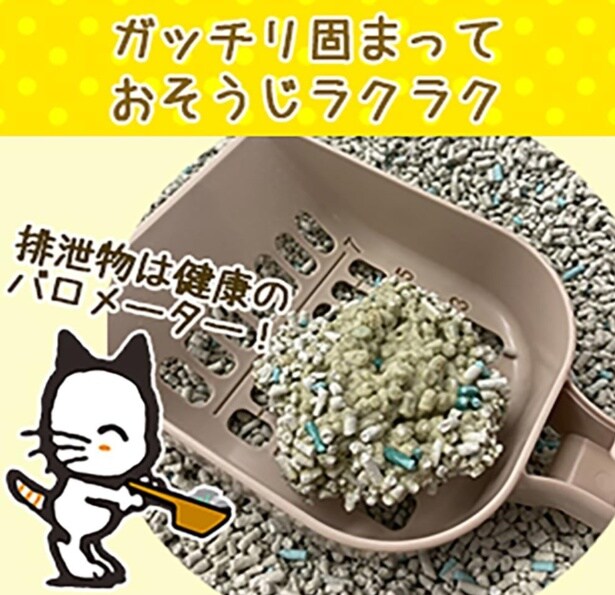 スクリーンショット 2025-08-23 210723