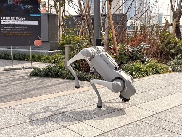 無邪気に飛び跳ねる植栽自動診断ロボットロボット「鉢公」