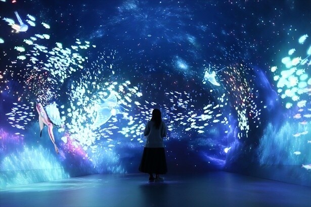 没入空間の中で幻想的な写真を撮るのも楽しみ