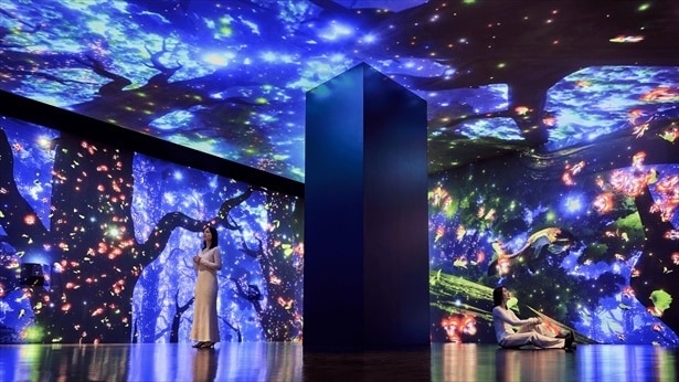 ゾーン3：擬態する森(イメージ)