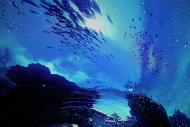 頭上の光景も見逃せない