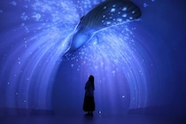 横浜に没入体験施設「ワンダリア横浜」がオープン！見どころからカフェ、アクセスまで徹底紹介