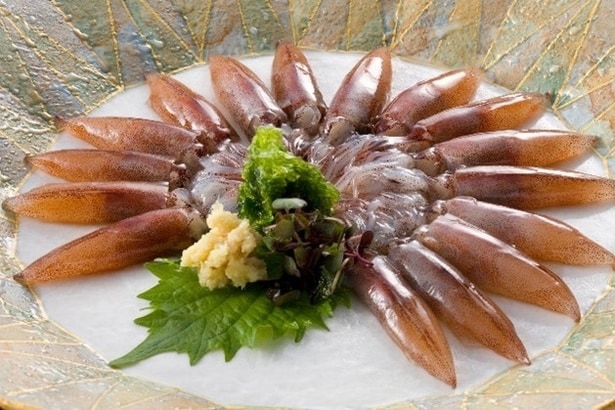 【写真】ホタルイカ