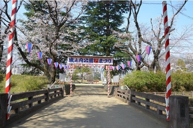 園内は桜のほかにささやかながら装飾も施される / 城之内公園の桜