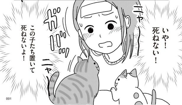 第1話『ねこ婚〜猫のための交際ゼロ日婚〜』02
