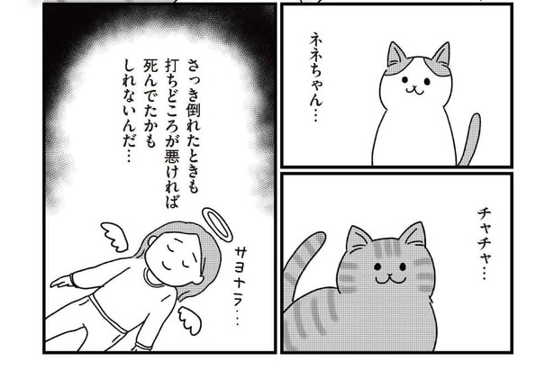 第1話『ねこ婚〜猫のための交際ゼロ日婚〜』_12