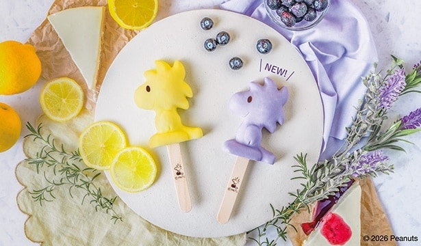 スヌーピーの親友ウッドストックをテーマにしたショップ「WOODSTOCK NEST Sweets & Goodies」に春の新作、続々登場！