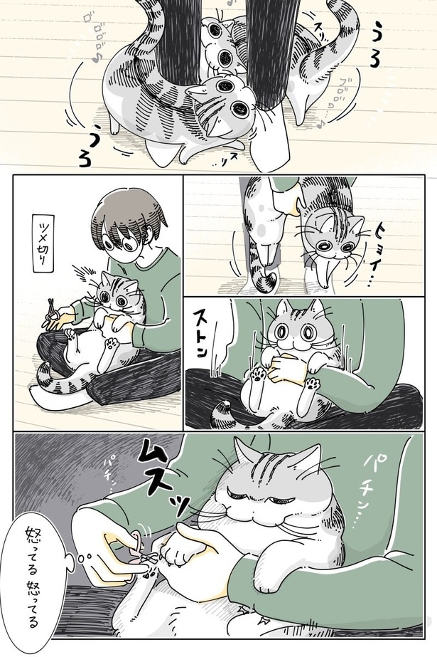 『不機嫌ゴロゴロ』01