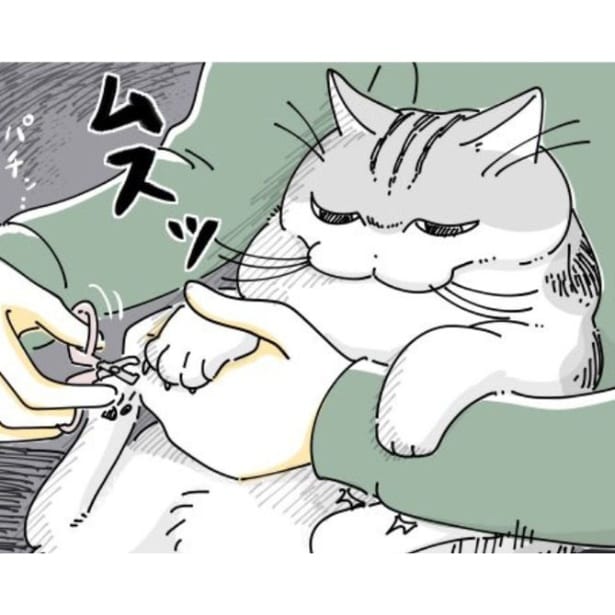 【ネコ漫画】爪を切られて不満そうな愛猫!?その姿に「不機嫌モード全開」などの共感コメント&7万超えいいね