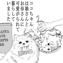 愛犬を目の前で亡くした飼い主…「私のせいで、あの子は」愛犬を失った飼い主に起きた、その後の奇跡を郵便配達員に聞く