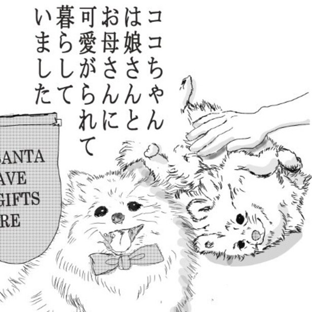 愛犬を目の前で亡くした飼い主…「私のせいで、あの子は」愛犬を失った飼い主に起きた、その後の奇跡を郵便配達員に聞く