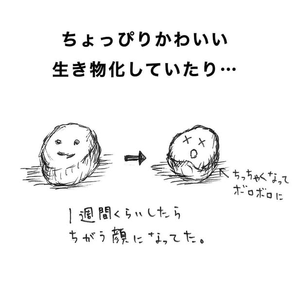 消しゴムアレンジ 02