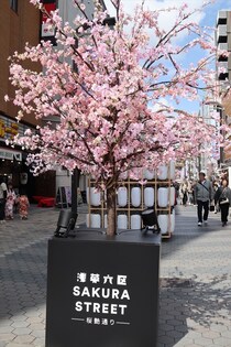 浅草に桜並木や花魁道中が出現「浅草六区 SAKURA STREET ー桜艶通りー」が開催中！喫煙ブースでJTの「EVO」新フレーバー先行体験も