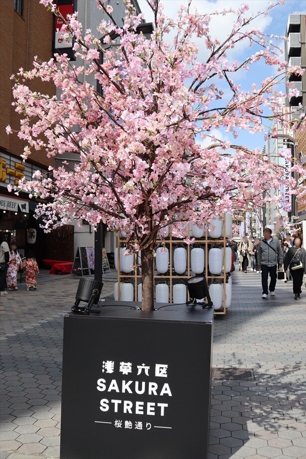 浅草に桜並木や花魁道中が出現「浅草六区 SAKURA STREET ー桜艶通りー」が開催中!喫煙ブースでJTの「EVO」新フレーバー先行体験も