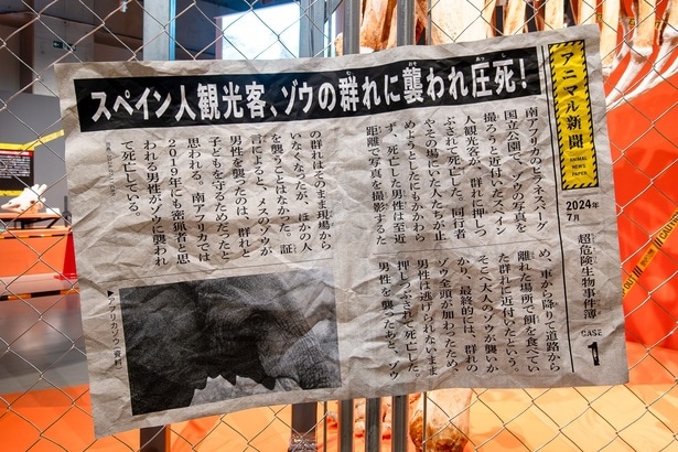 所々に、動物にまつわるニュース記事が展示され、リアルな緊張感を高めている