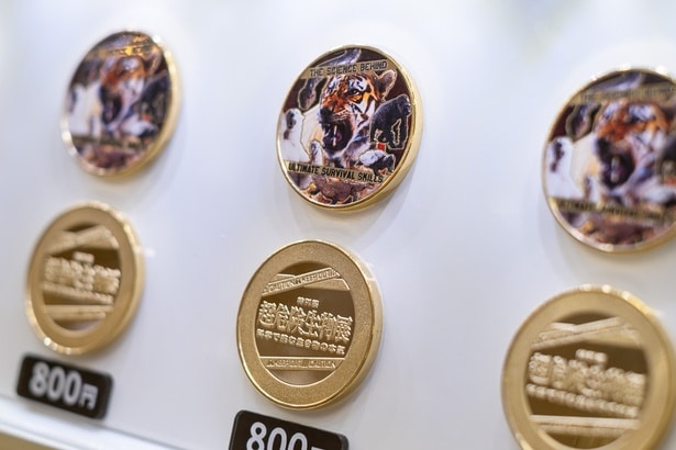 昔懐かしい記念コイン(800円)