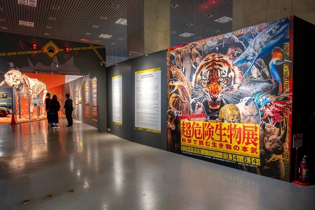 もはや恐怖のテーマパーク!?上野の科博「超危険生物展」で味わう極上のスリルとワクワク体験