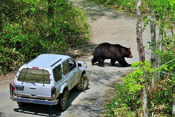 いざというときにすぐに車に戻れる動線を確保しておくことが大事だという　※画像はイメージです