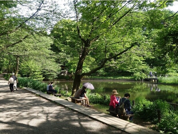 水辺に揺れる草花の向こうに高層ビルがみえる。都市と自然のコントラストを感じる場所