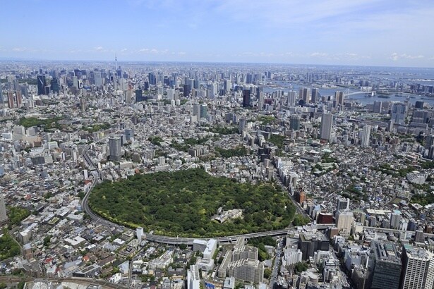 森の空気は、都市を確かに支えている。平均マイナス4度の“天然クーラー”