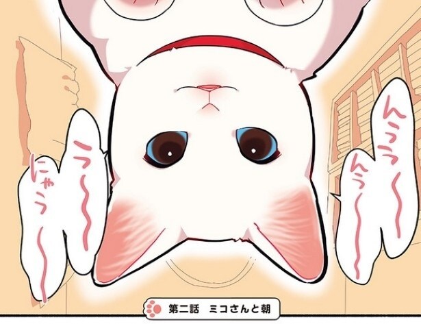 目を覚ますと猫がのぞき込んでいた！なんという幸せ!!