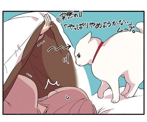 慎重で神経質な猫あるある！