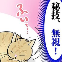 【ねこ漫画】「秘技、無視！」虫を追いかけるが逃げられた猫と、最初から諦める猫…家猫は野生なんか忘れてる？【作者に聞いた】