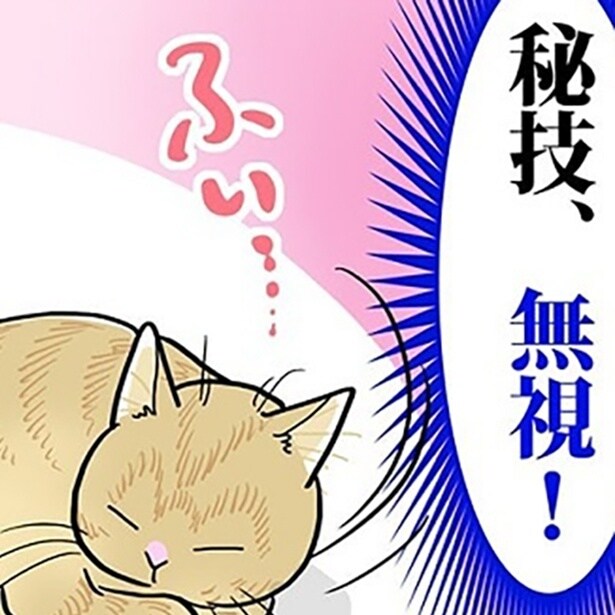 【ねこ漫画】「秘技、無視!」虫を追いかけるが逃げられた猫と、最初から諦める猫…家猫は野生なんか忘れてる?【作者に聞いた】