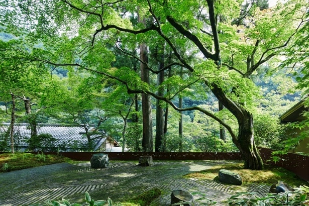 早朝の朝日が差し込む「奥の庭」で開催