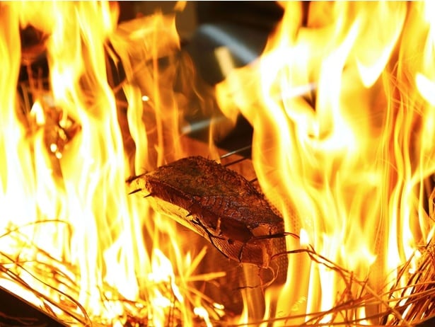 藁焼き鰹たたき「明神丸」
