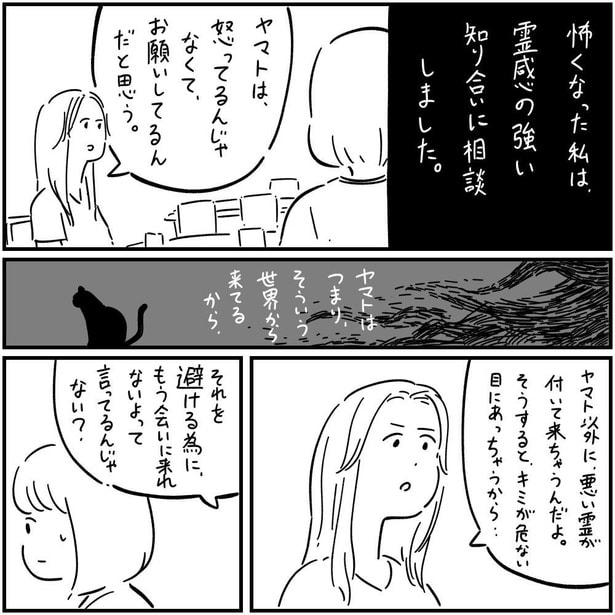 猫のヤマト(9)