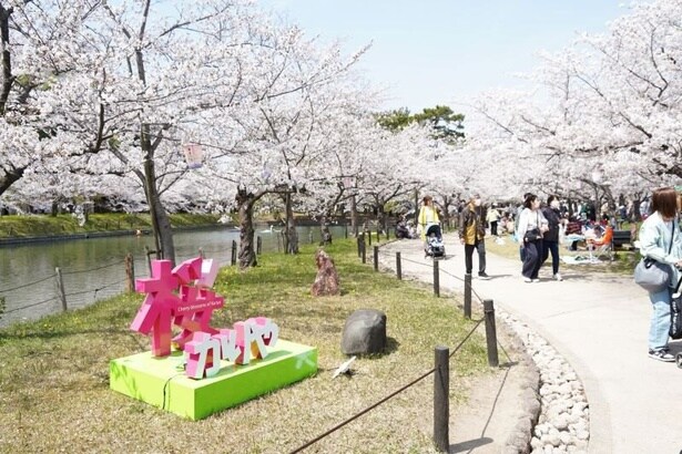 見どころの「城池」沿いなど園内には約400本の桜が咲く/亀城公園の桜(愛知県)