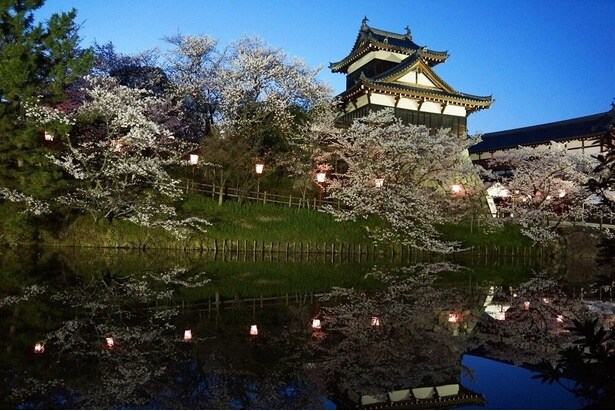水面に写る美しい郡山城跡と桜/郡山城跡の桜