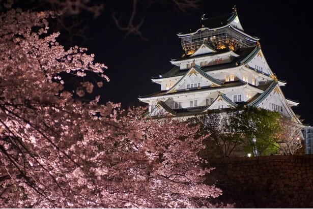 「平成の大改修」によりよみがえった天守閣/大阪城公園の桜