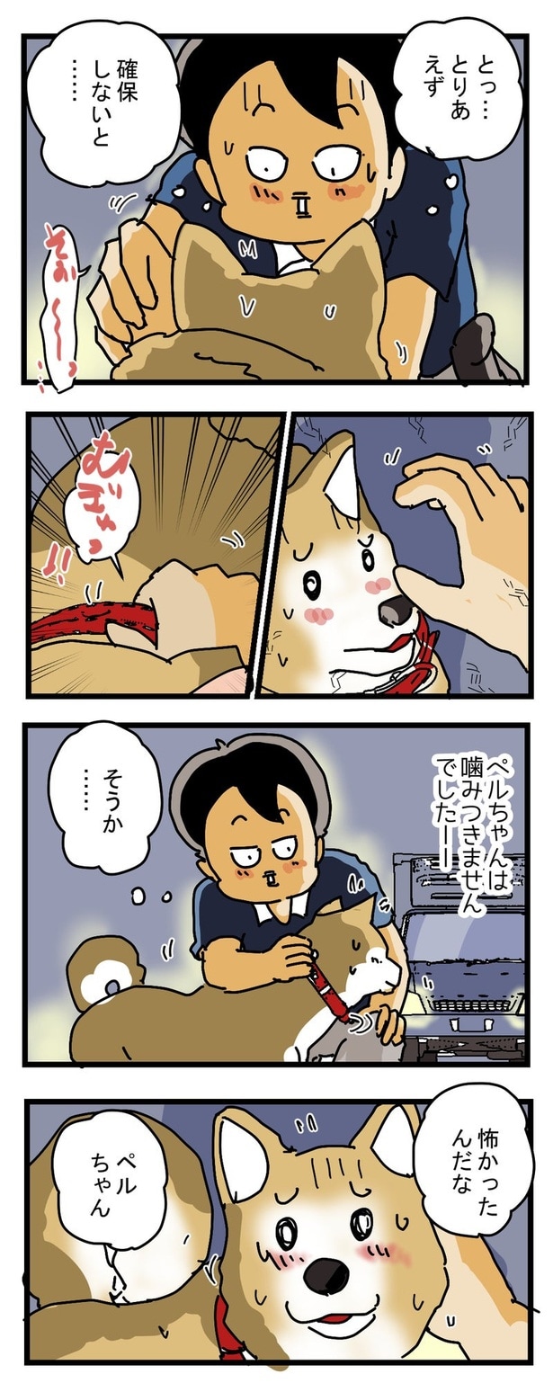 かみつきペルちゃん3
