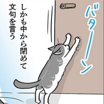 【ねこ漫画】家中のドアが開け放たれる!!「そのドアだけはやめたげて…」猫が開けた禁断の扉に困惑必至【作者に聞く】