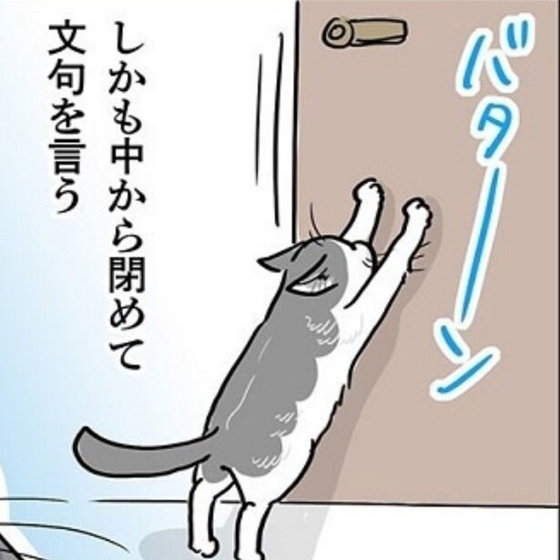 【ねこ漫画】家中のドアが開け放たれる!!「そのドアだけはやめたげて…」猫が開けた禁断の扉に困惑必至【作者に聞く】