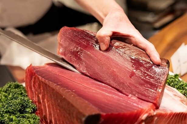 天然南マグロの部位食べ比べができる