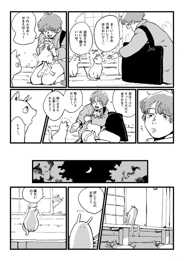 猫のかわいさの前では、細かいことは気にならない