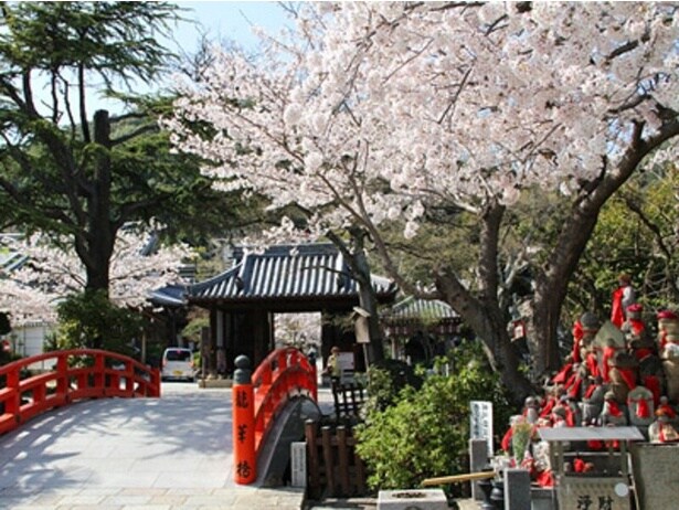 お地蔵さまと龍華橋を彩るように咲くソメイヨシノ/須磨寺の桜